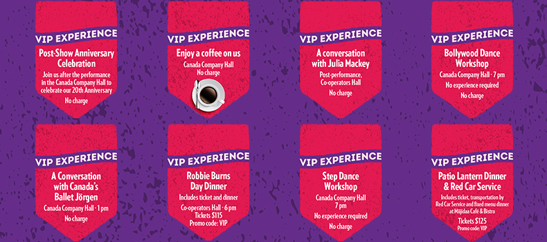 VIP Experience promotional image