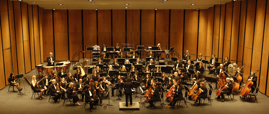 Guelph Symphony Orchestra promotional