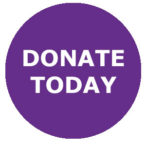 Donate Today button