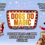 Dogs Do Magic: A Canine Christmas